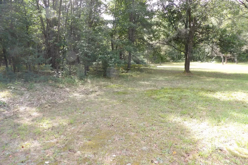 11067 S River Road Evart Township MI 49631