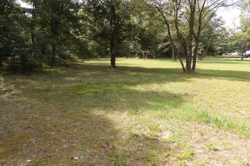 11067 S River Road Evart Township MI 49631