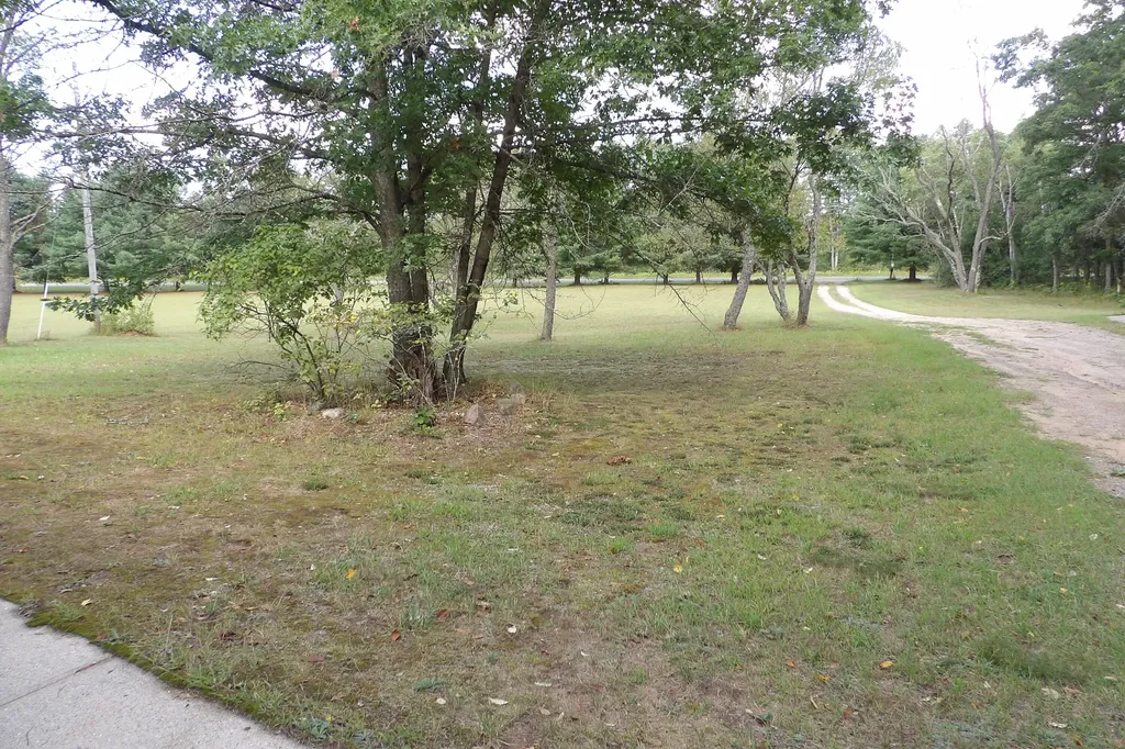 11067 S River Road Evart Township MI 49631