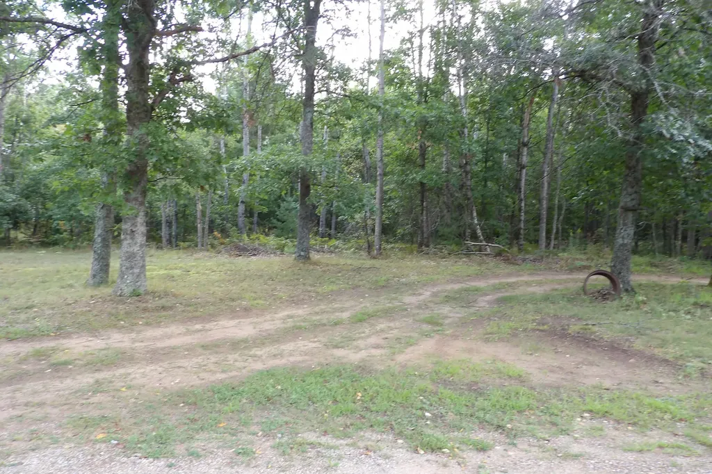 11067 S River Road Evart Township MI 49631