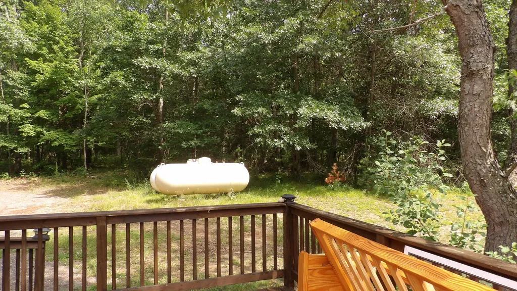 11067 S River Road Evart Township MI 49631