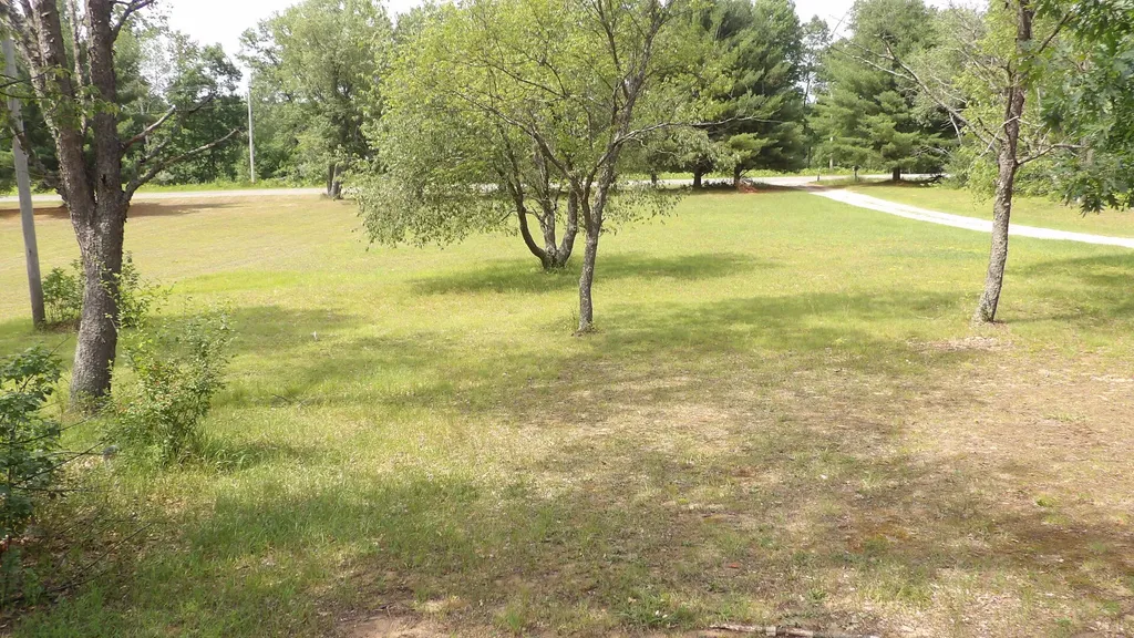 11067 S River Road Evart Township MI 49631