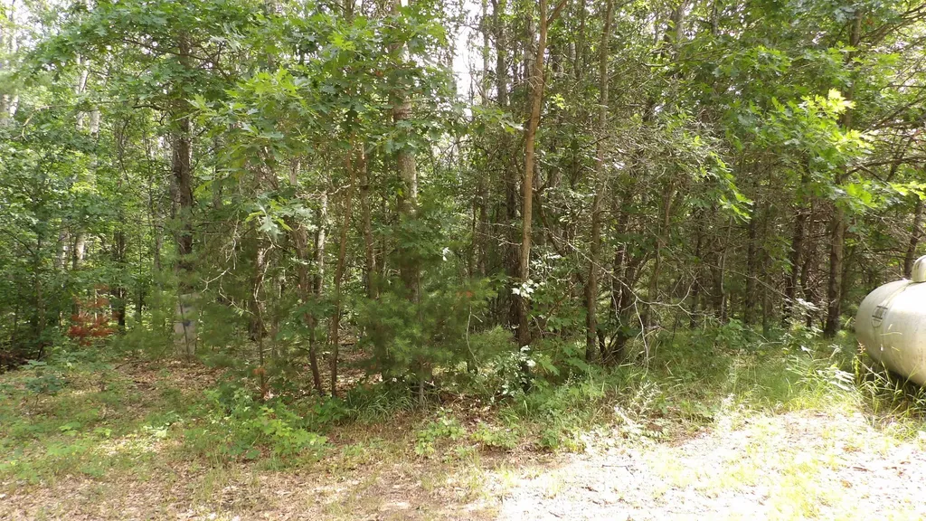11067 S River Road Evart Township MI 49631