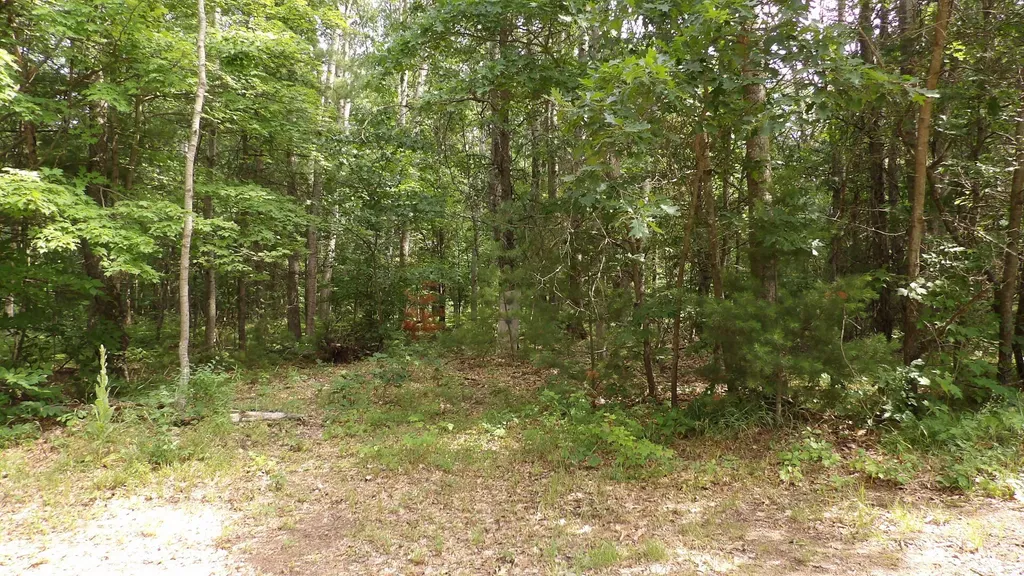 11067 S River Road Evart Township MI 49631