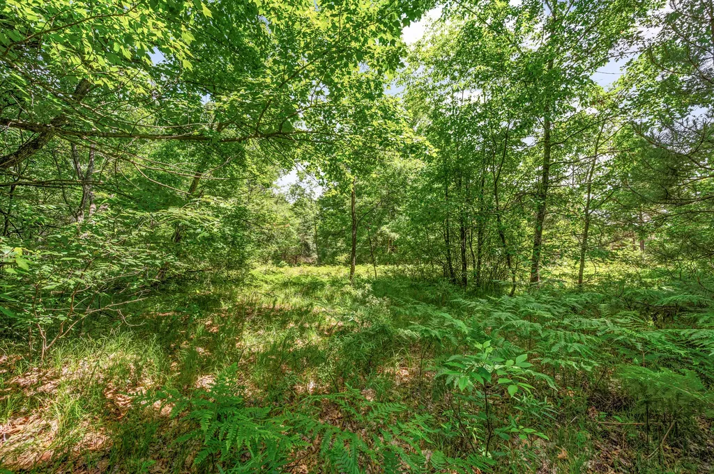 11592 80th Avenue Morton Township MI 49332