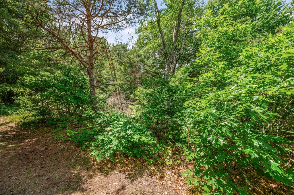 11592 80th Avenue Morton Township MI 49332