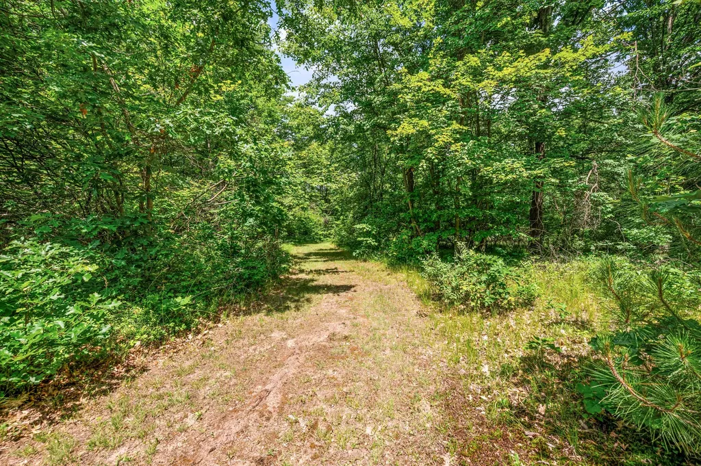 11592 80th Avenue Morton Township MI 49332