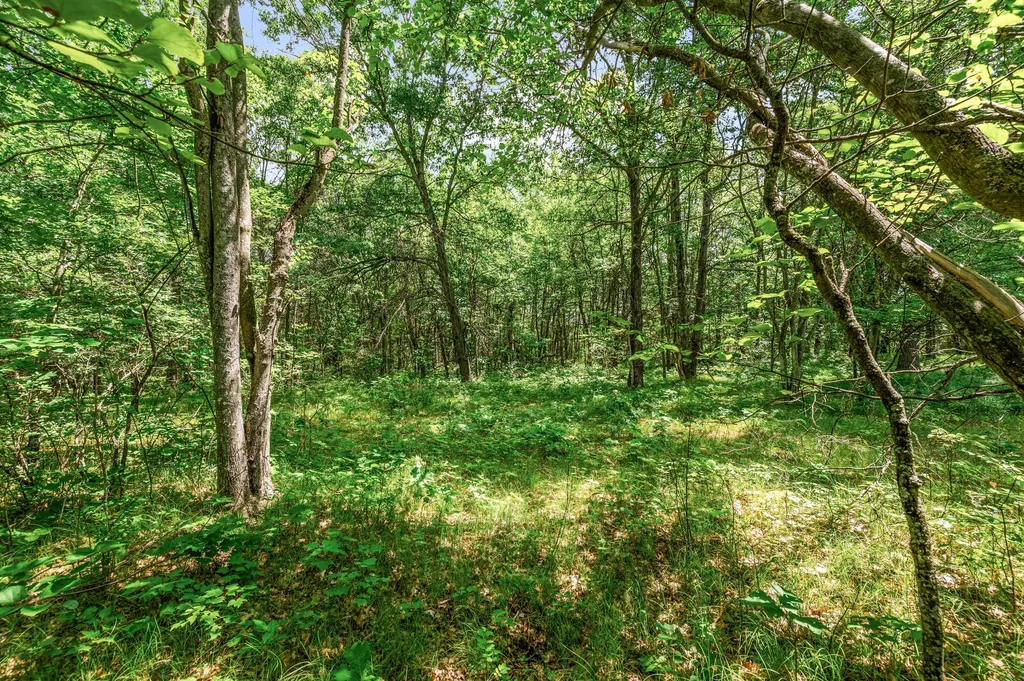 11592 80th Avenue Morton Township MI 49332