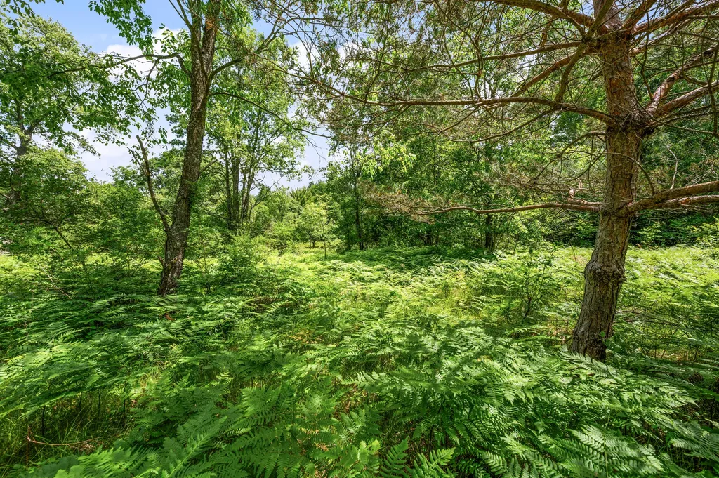 11592 80th Avenue Morton Township MI 49332