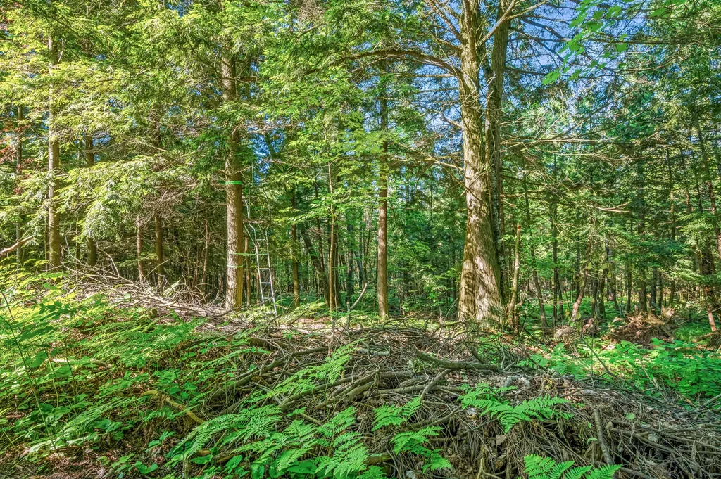 15971 Penesal Road Rose Lake Township MI 49655