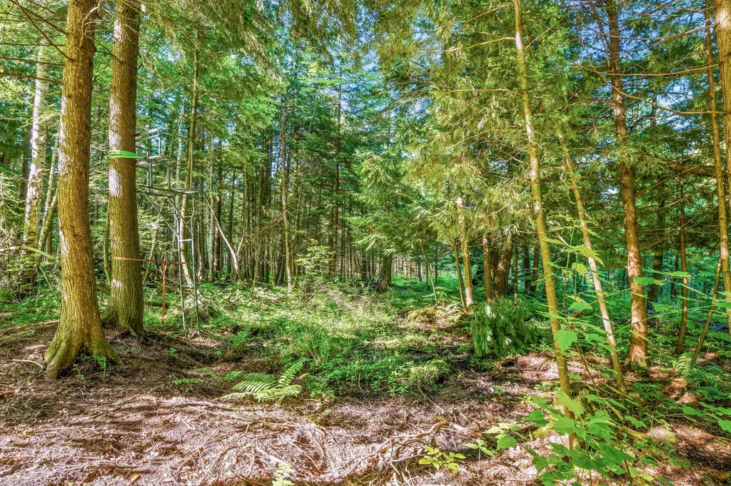 15971 Penesal Road Rose Lake Township MI 49655