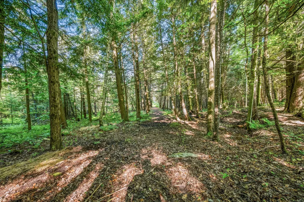 15971 Penesal Road Rose Lake Township MI 49655
