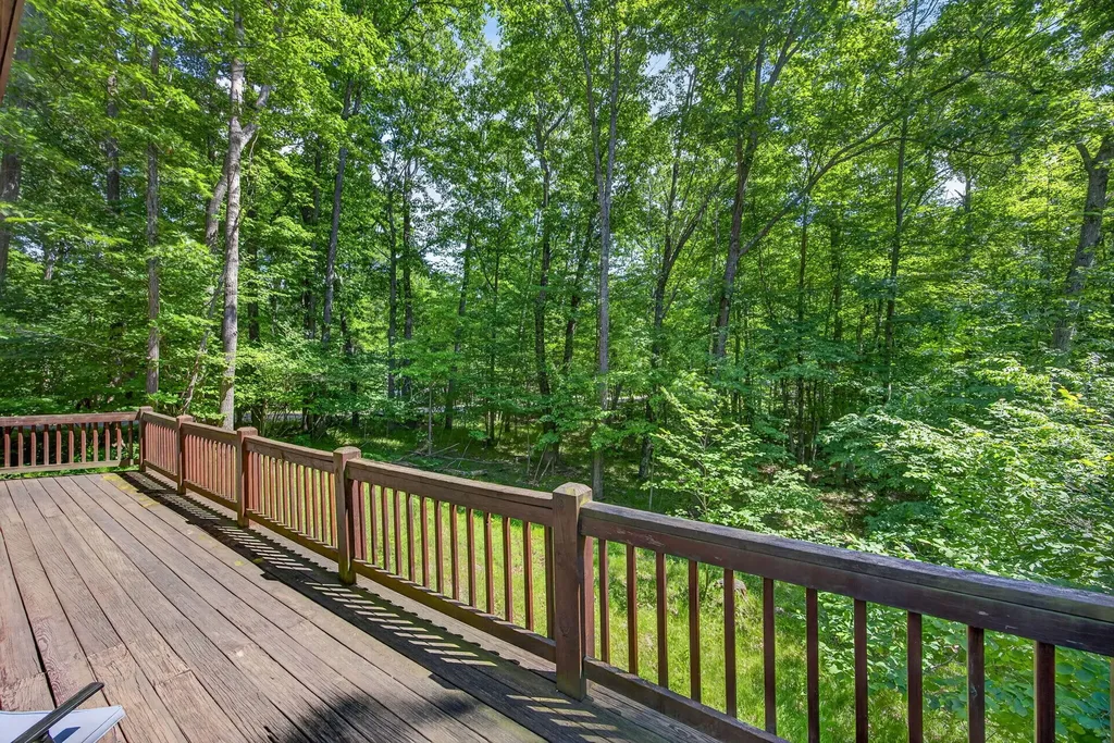 10231 Mountain View Trail Austin Township MI 49346