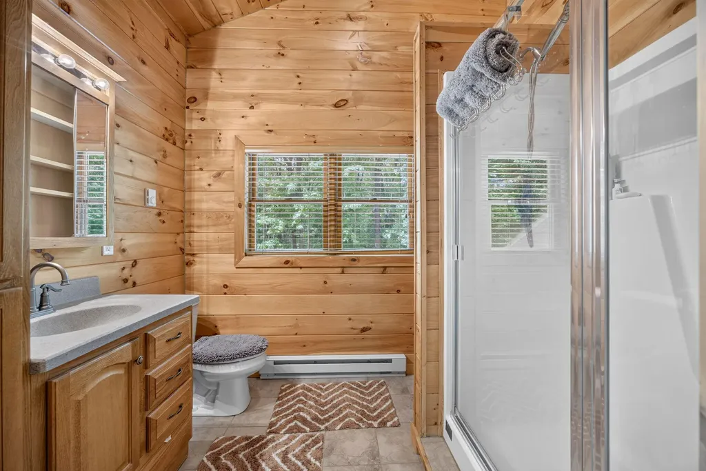 10231 Mountain View Trail Austin Township MI 49346