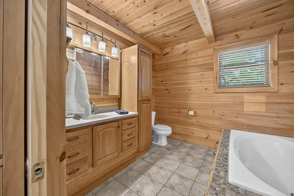 10231 Mountain View Trail Austin Township MI 49346
