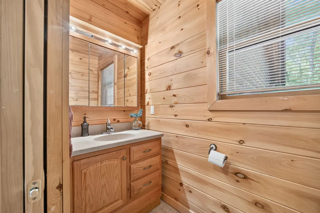 10231 Mountain View Trail Austin Township MI 49346