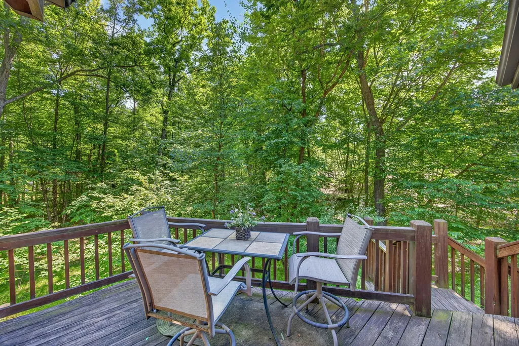10231 Mountain View Trail Austin Township MI 49346