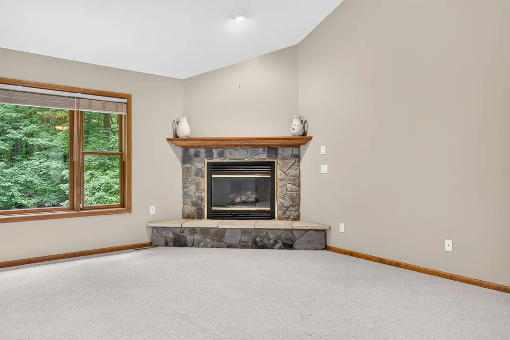 10372 Mountain View Trail Austin Township MI 49346