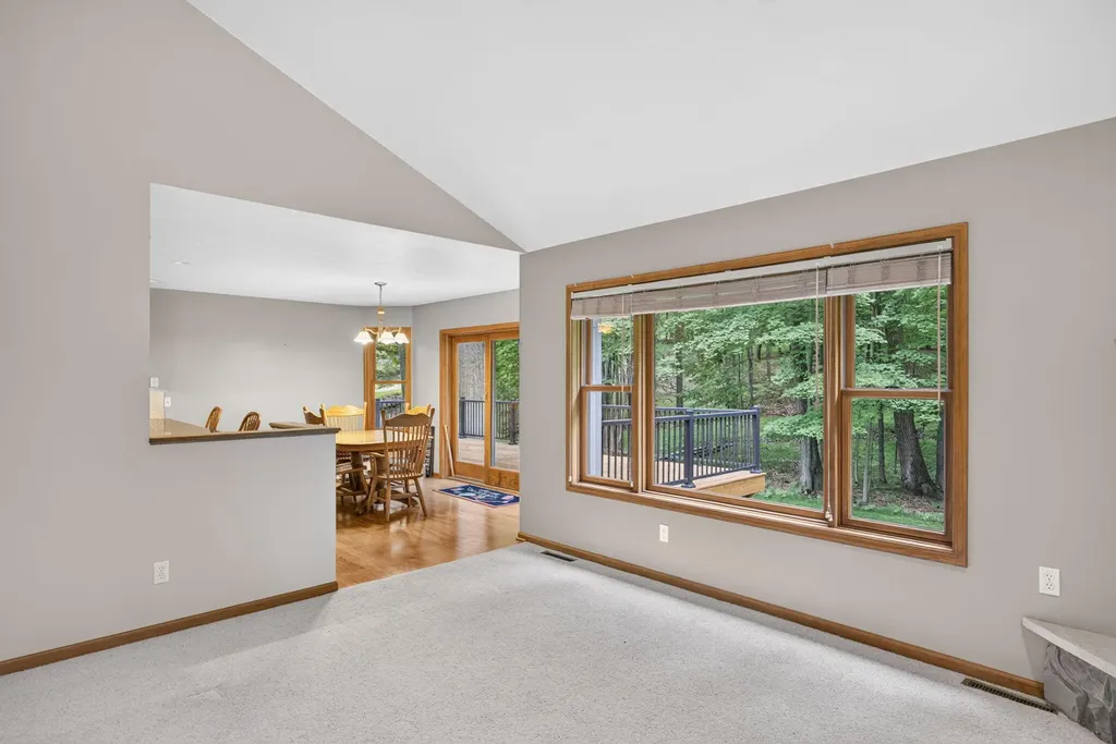 10372 Mountain View Trail Austin Township MI 49346
