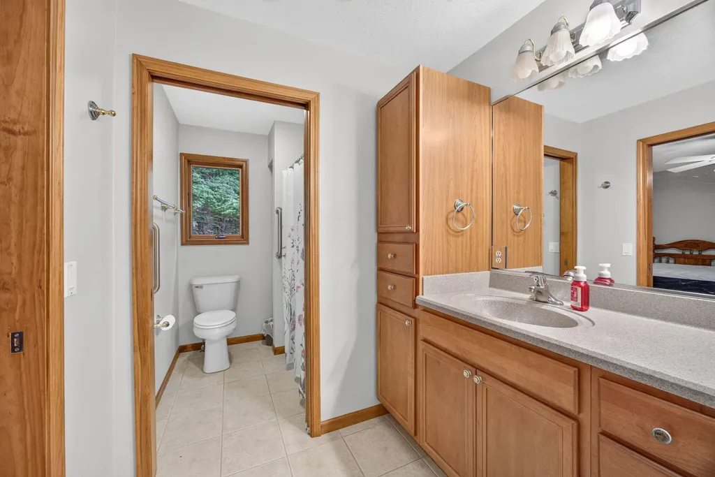 10372 Mountain View Trail Austin Township MI 49346