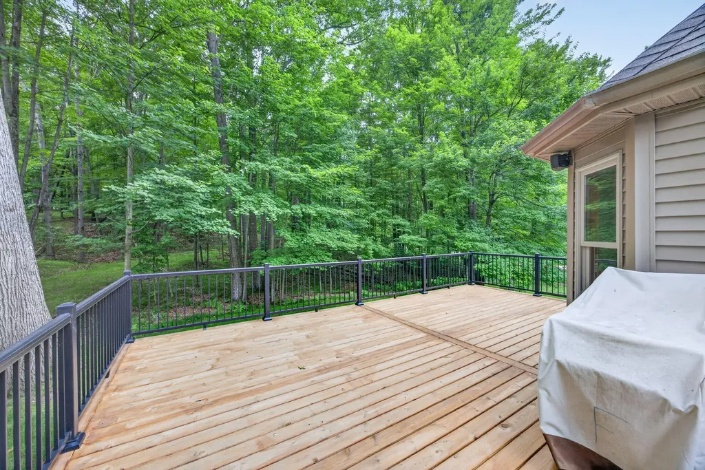 10372 Mountain View Trail Austin Township MI 49346