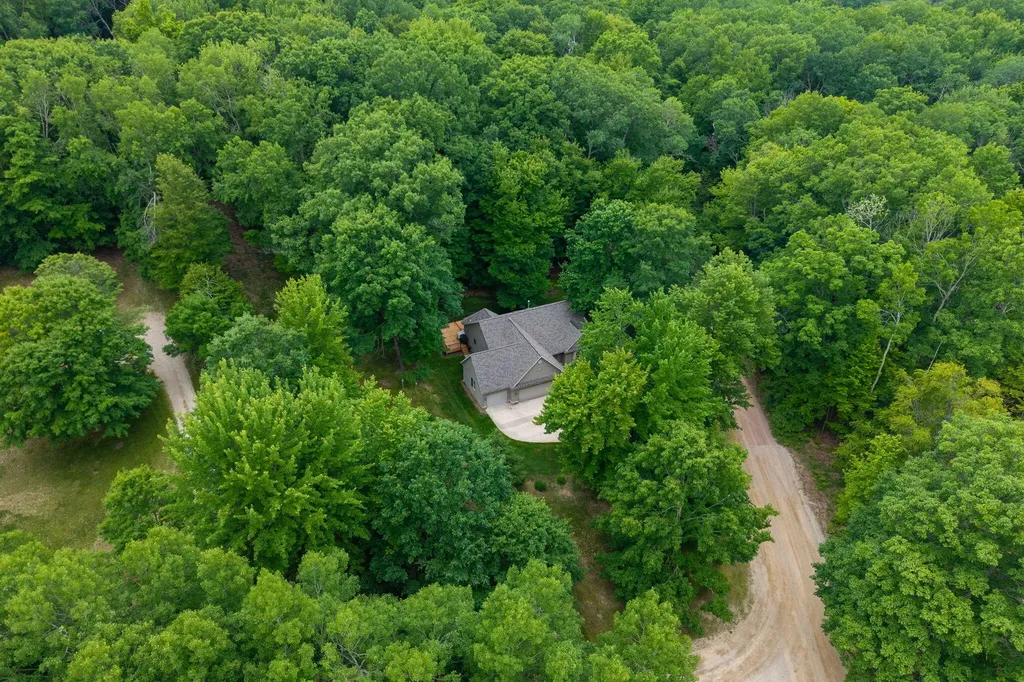10372 Mountain View Trail Austin Township MI 49346
