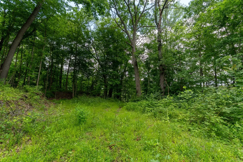 50.75 Weiser Road Niles Township MI 49120