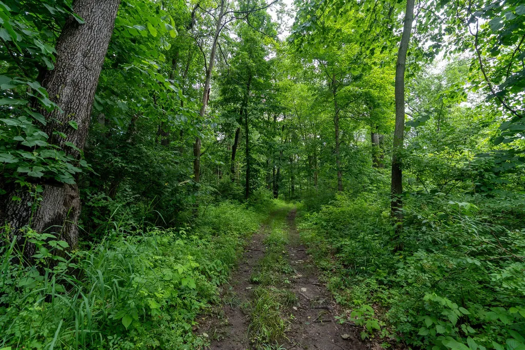 50.75 Weiser Road Niles Township MI 49120