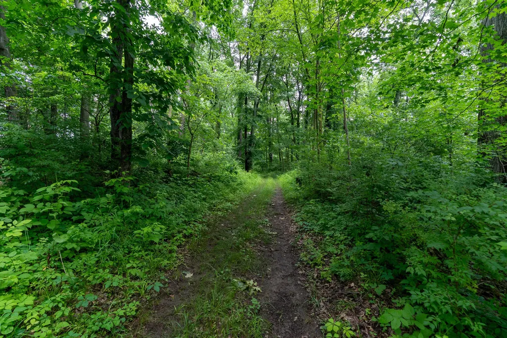 50.75 Weiser Road Niles Township MI 49120