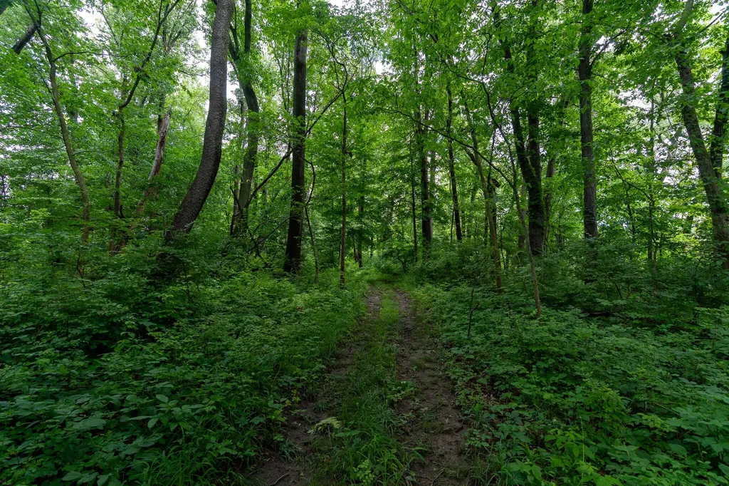 50.75 Weiser Road Niles Township MI 49120