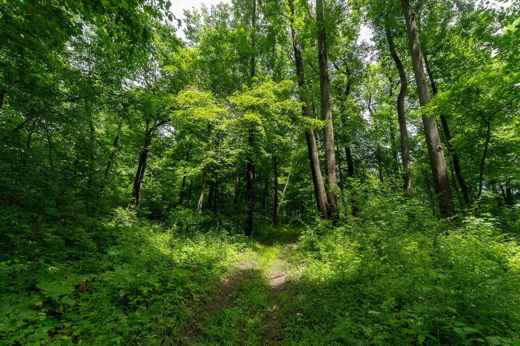 50.75 Weiser Road Niles Township MI 49120