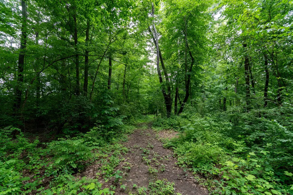 50.75 Weiser Road Niles Township MI 49120