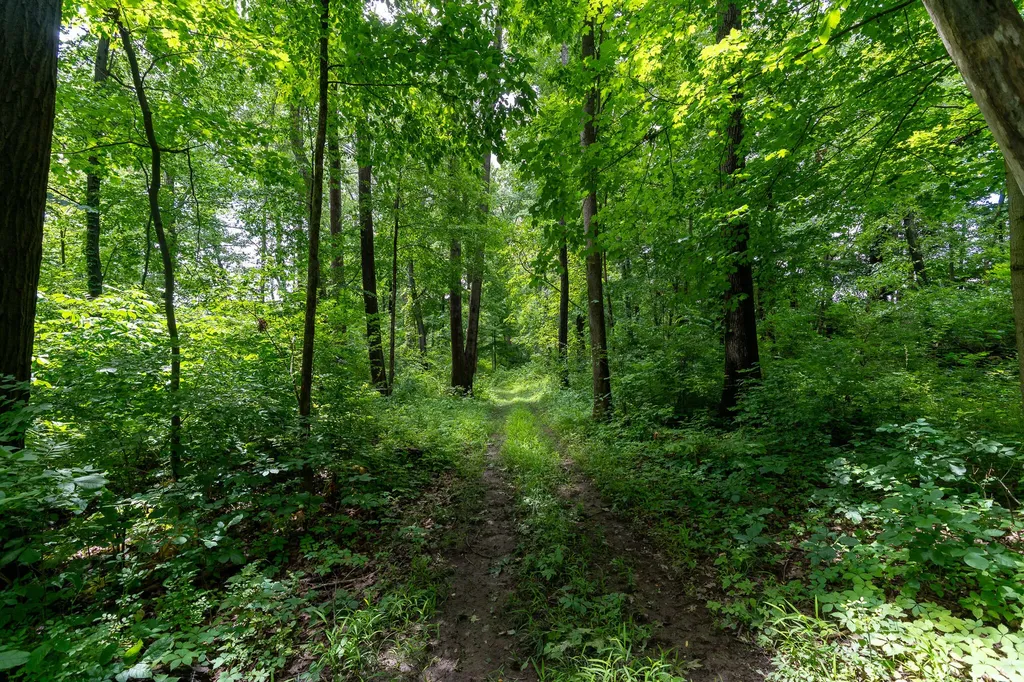 50.75 Weiser Road Niles Township MI 49120