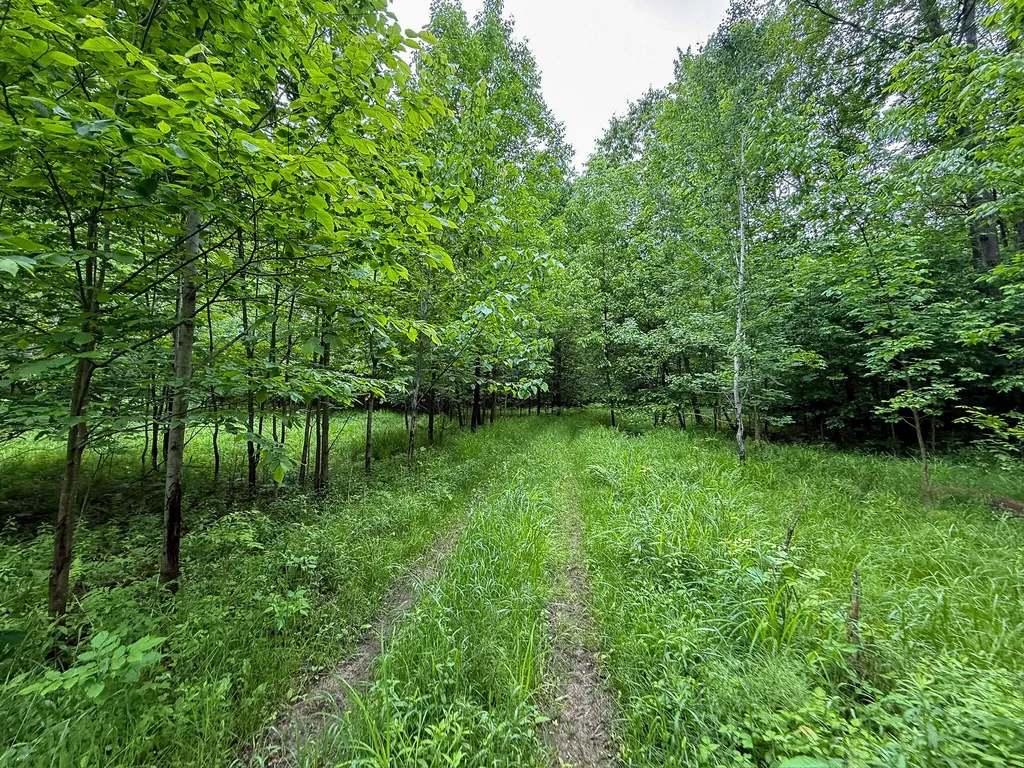 5070 W Sanborn Road Forest Township MI 49651