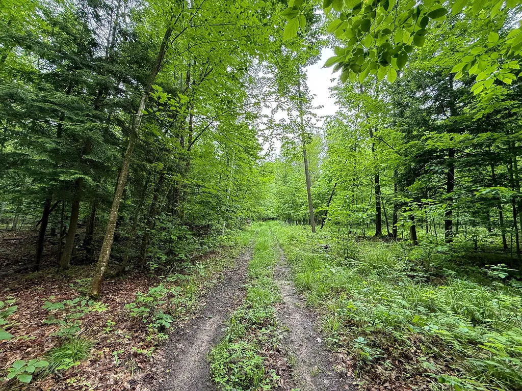 5070 W Sanborn Road Forest Township MI 49651