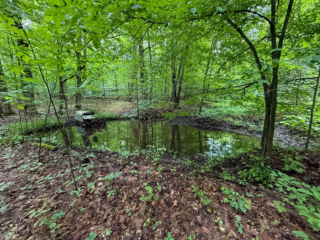 5070 W Sanborn Road Forest Township MI 49651