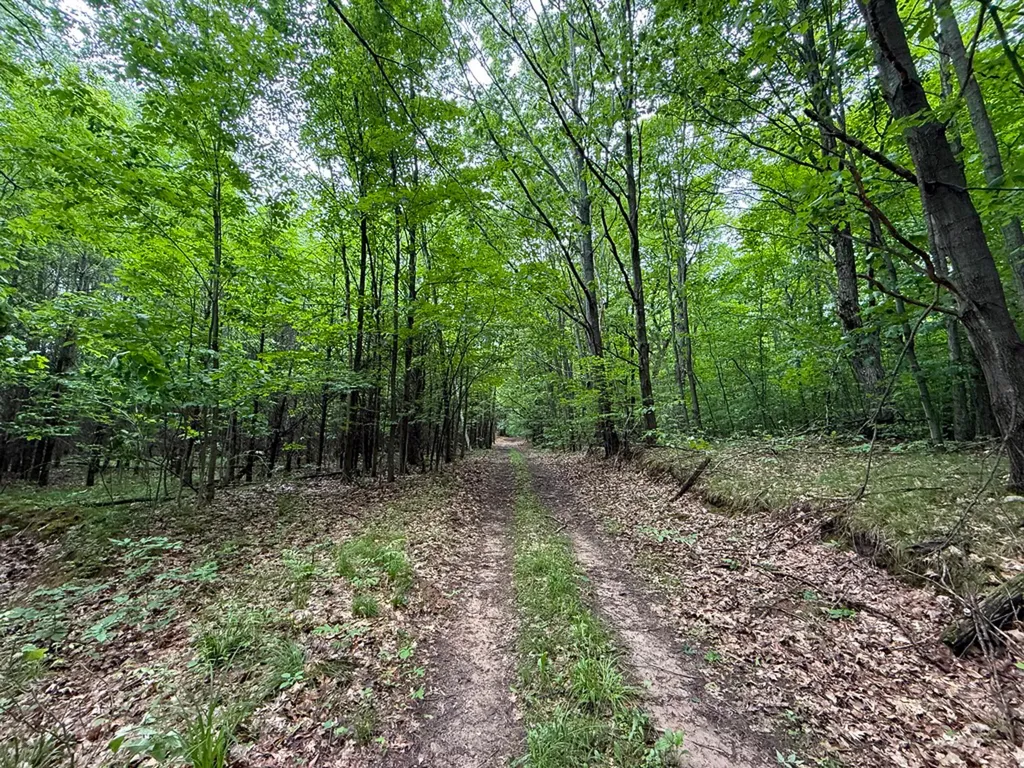 5070 W Sanborn Road Forest Township MI 49651