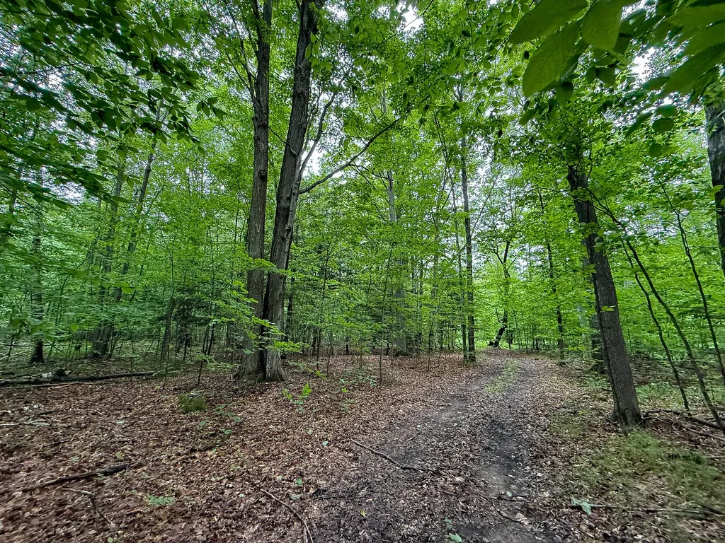 5070 W Sanborn Road Forest Township MI 49651