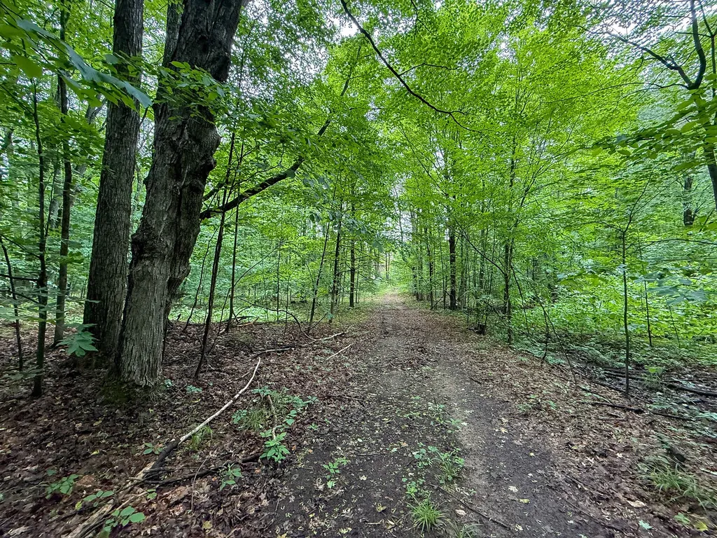 5070 W Sanborn Road Forest Township MI 49651