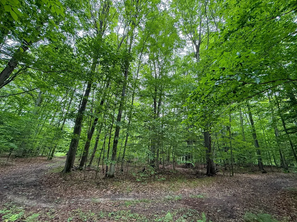 5070 W Sanborn Road Forest Township MI 49651
