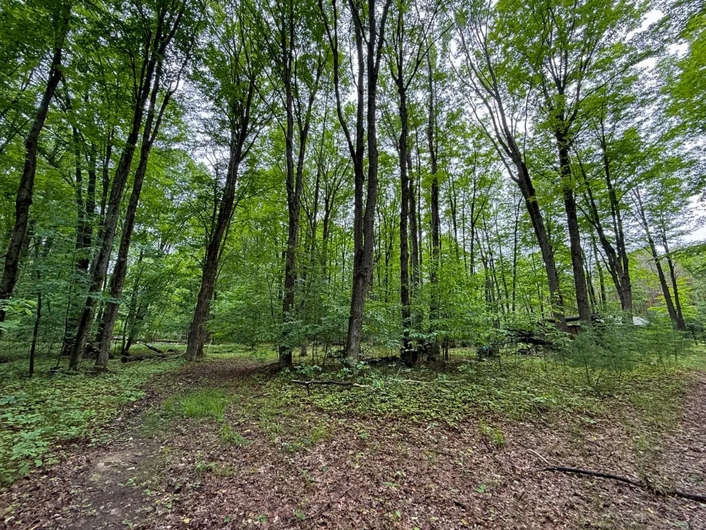 5070 W Sanborn Road Forest Township MI 49651