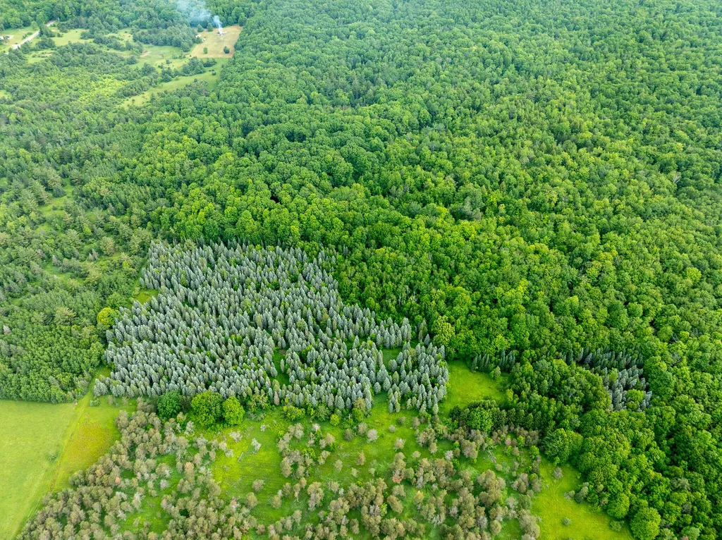 5070 W Sanborn Road Forest Township MI 49651