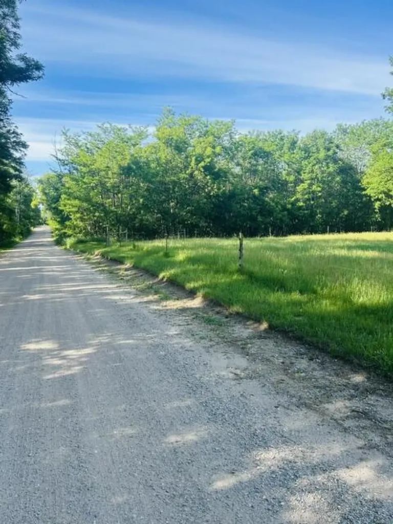 2304 115th Avenue Evart Township MI 49631