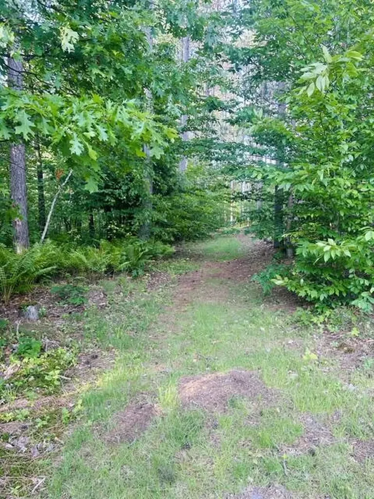 2304 115th Avenue Evart Township MI 49631