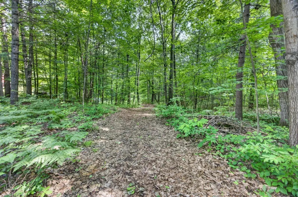 21643 11 Mile Road Mecosta Township MI 49307