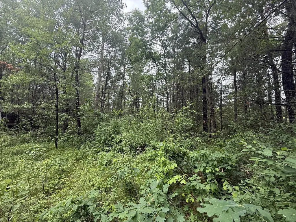 1578 Chestwood Yates Township MI 49642