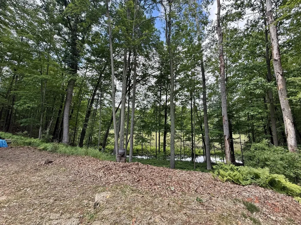 11310 E Royal Road Morton Township MI 49346