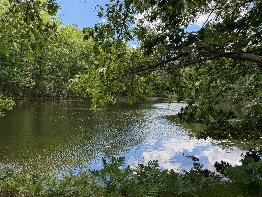 8980 Canyon Springs Court Morton Township MI 49346