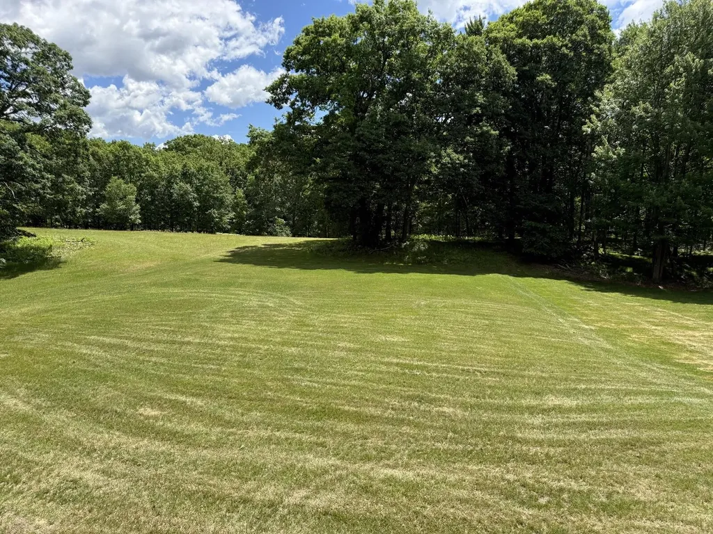 8980 Canyon Springs Court Morton Township MI 49346
