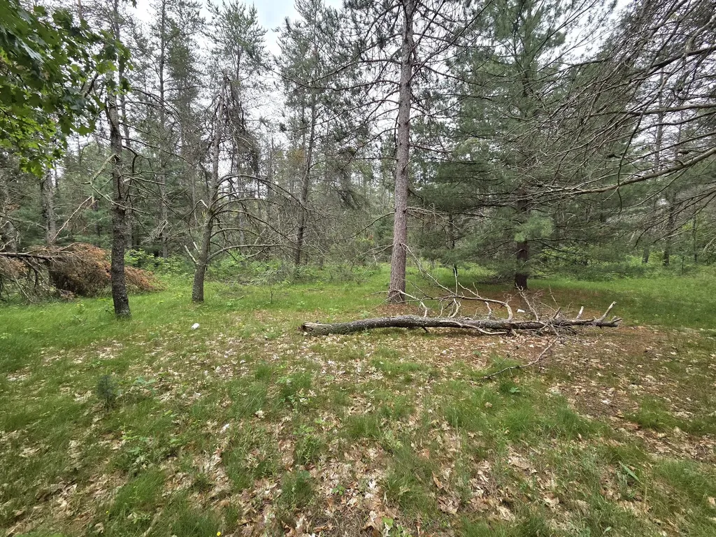 1909 W 16th Street Webber Township MI 49304
